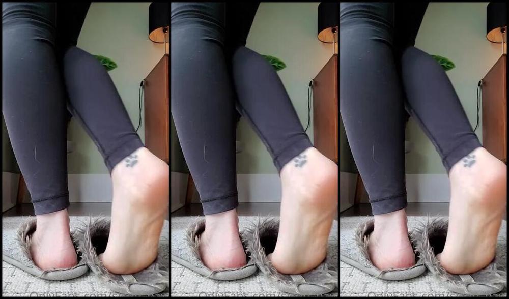 Sloans Paws Nicknamed Sloan Paws 11 21 2021 Onlyfans Video Teasing With My Super Worn Slippers