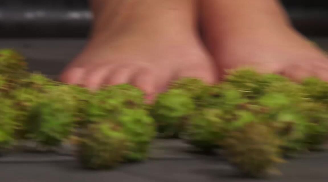 queesnake 13 10 05 conker fitness Fetish