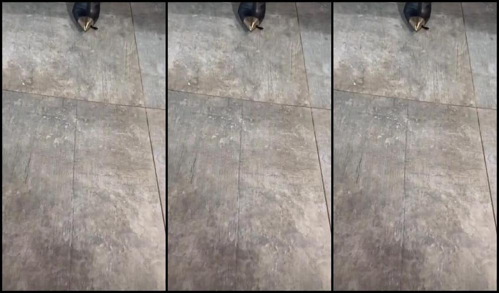 Goddess Kalinda Nicknamed Goddesskalinda Onlyfans I Was Born To Dominate And Control Your Life So Get On Your Knees And