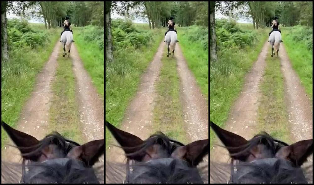 Vivienne L Amour Aka Vlproductionsuk Onlyfans Real Equestrian Mistress I Had A Huge Ex Hunting Horse On Friday He Was Amazing I Loved His H 10