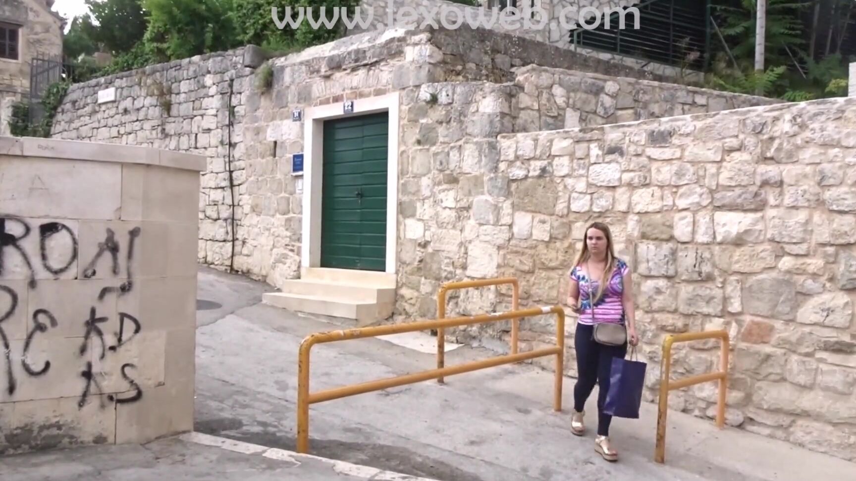 Lexoweb Hdn328 Winddildo