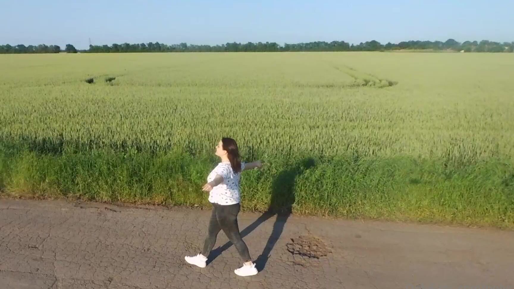 Polysweet Bd Fc Bfe E C C Af F