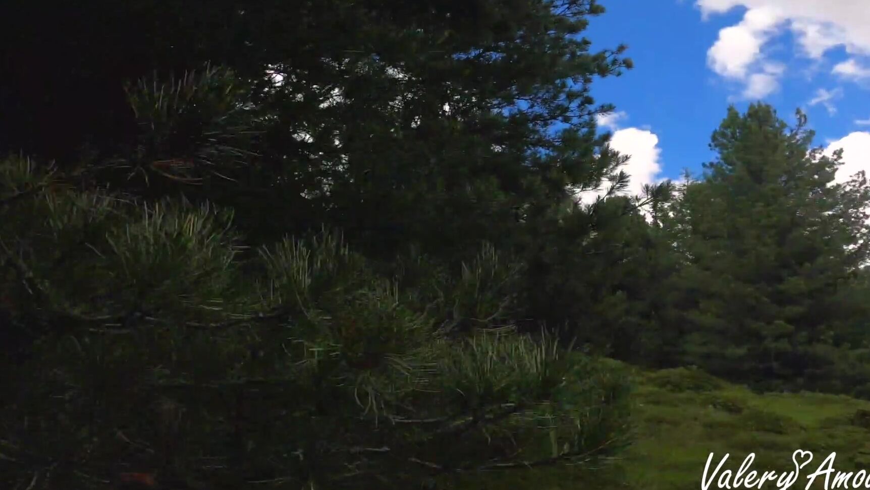 ValeryAmour sporty girl sucks cock in the forest Pornhub