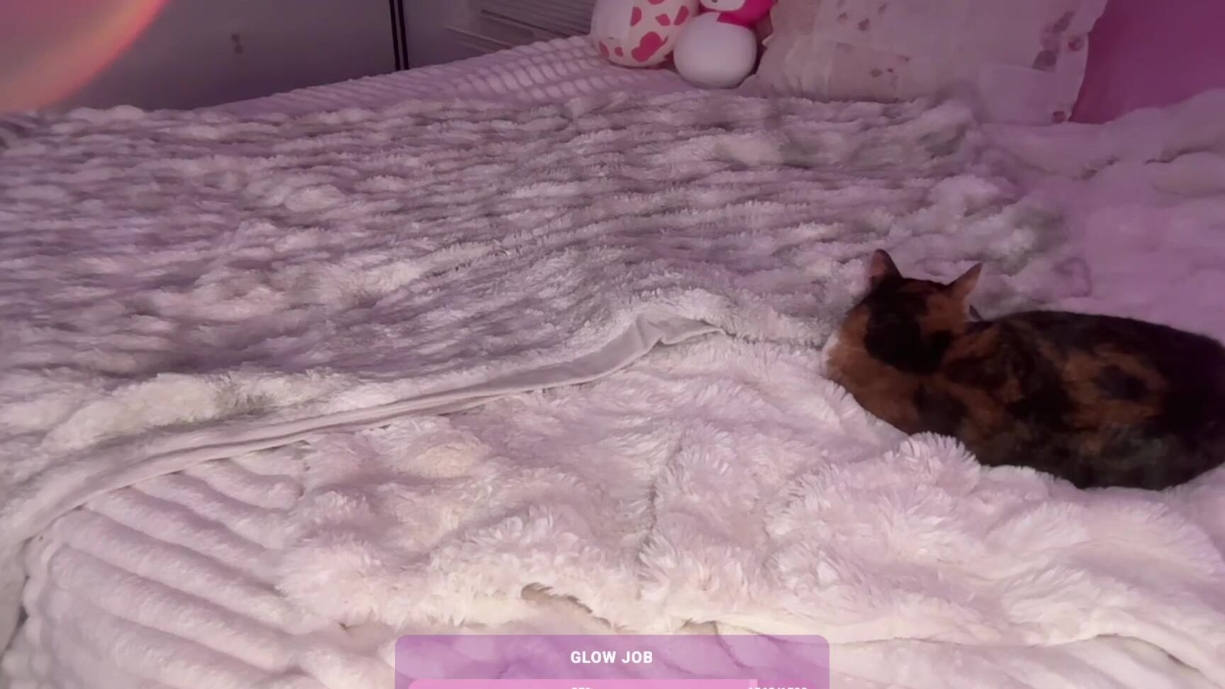 Chaturbate Jocelyynn 2025 05 08 01 43