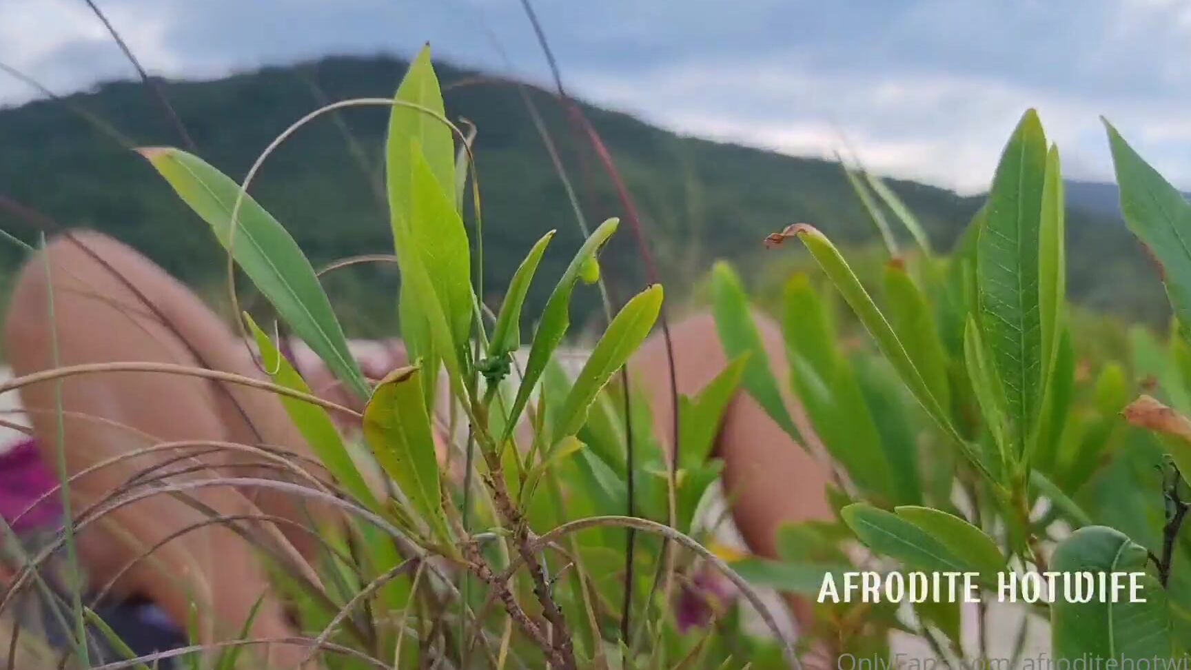Ofcafroditerj Garopaba Siriu Pt A Vis O M Gica Do Para So Ela Fez Um Bom Proveito Do Presente P