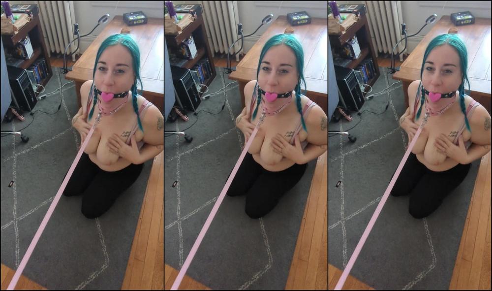 "DaddysSpookySlut" Slave Pet Girl, Pet Girl, Submissive Slut, Submissive Wife, Maledom, Patriarchy, Misogyny, Spanking, Discipline Spanking, Stupid Slut, Submissive Collar, Pet Play, Suggest DaddysSpookySlut Spanking leashed pet girl Pornhub