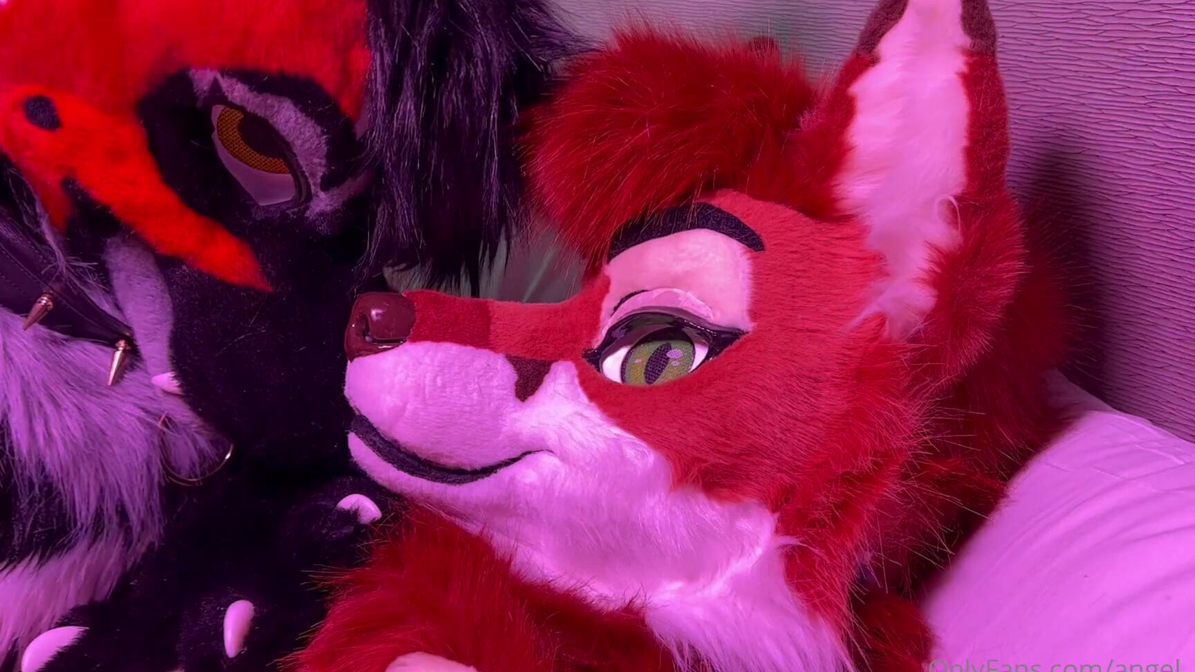 Angel Pups 561950605 I M Always A Whiney Mess When Naughtywoofs Gets Her Paws On 01 581Fc0E7 239D 4106 8C80 4558938A68F4