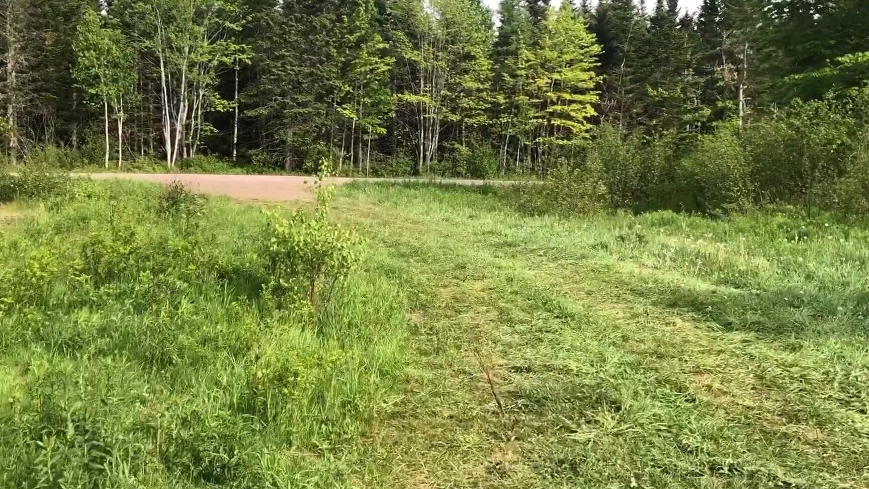 lladventures-11-06-2020-415925536-another-quick-update-for-you-guys-there-is-some-boob-at-the-end-of-this-one-please-d