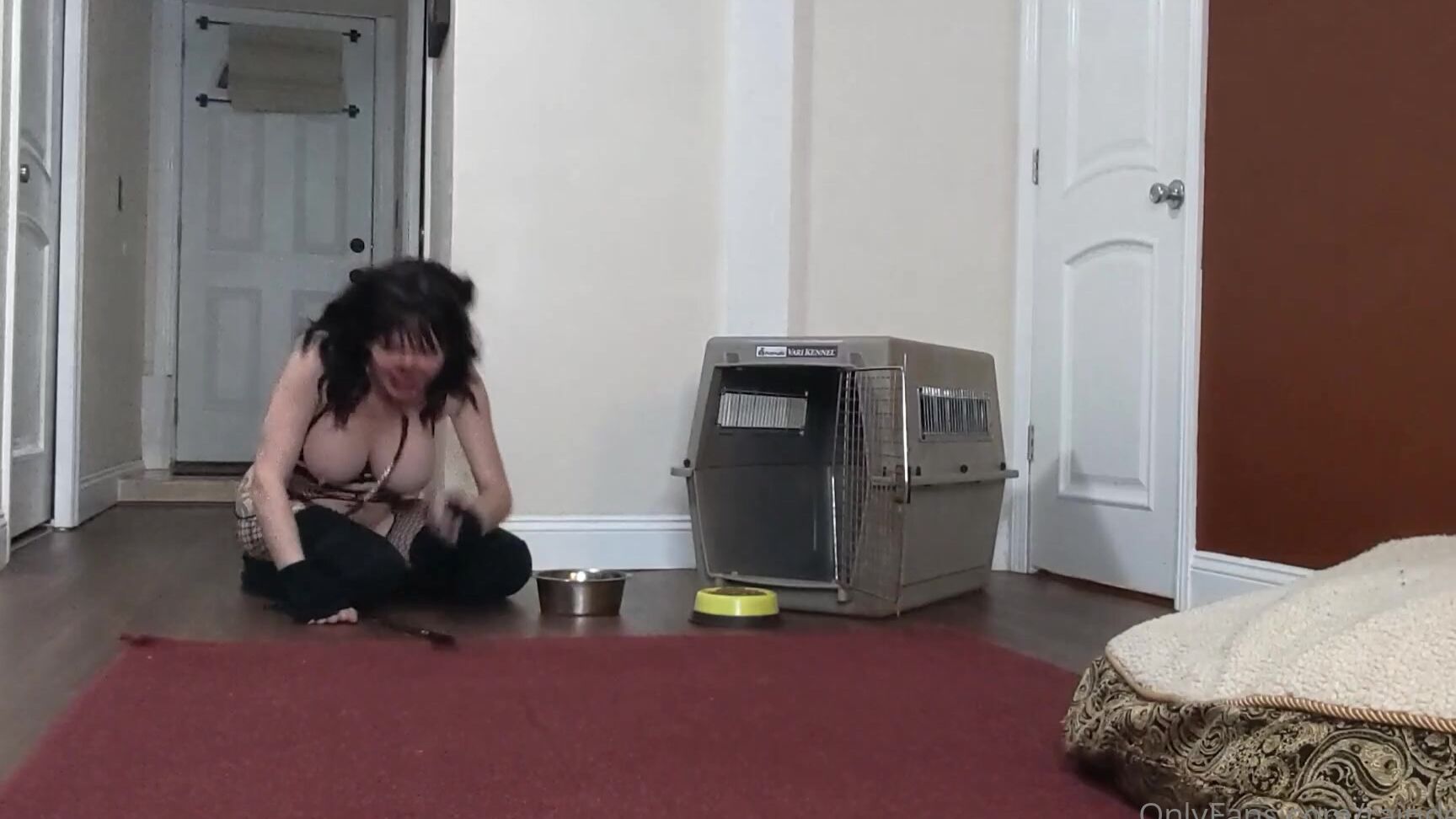 Raindegrey 959339475 09 25 2020 As Requested Puppy Play