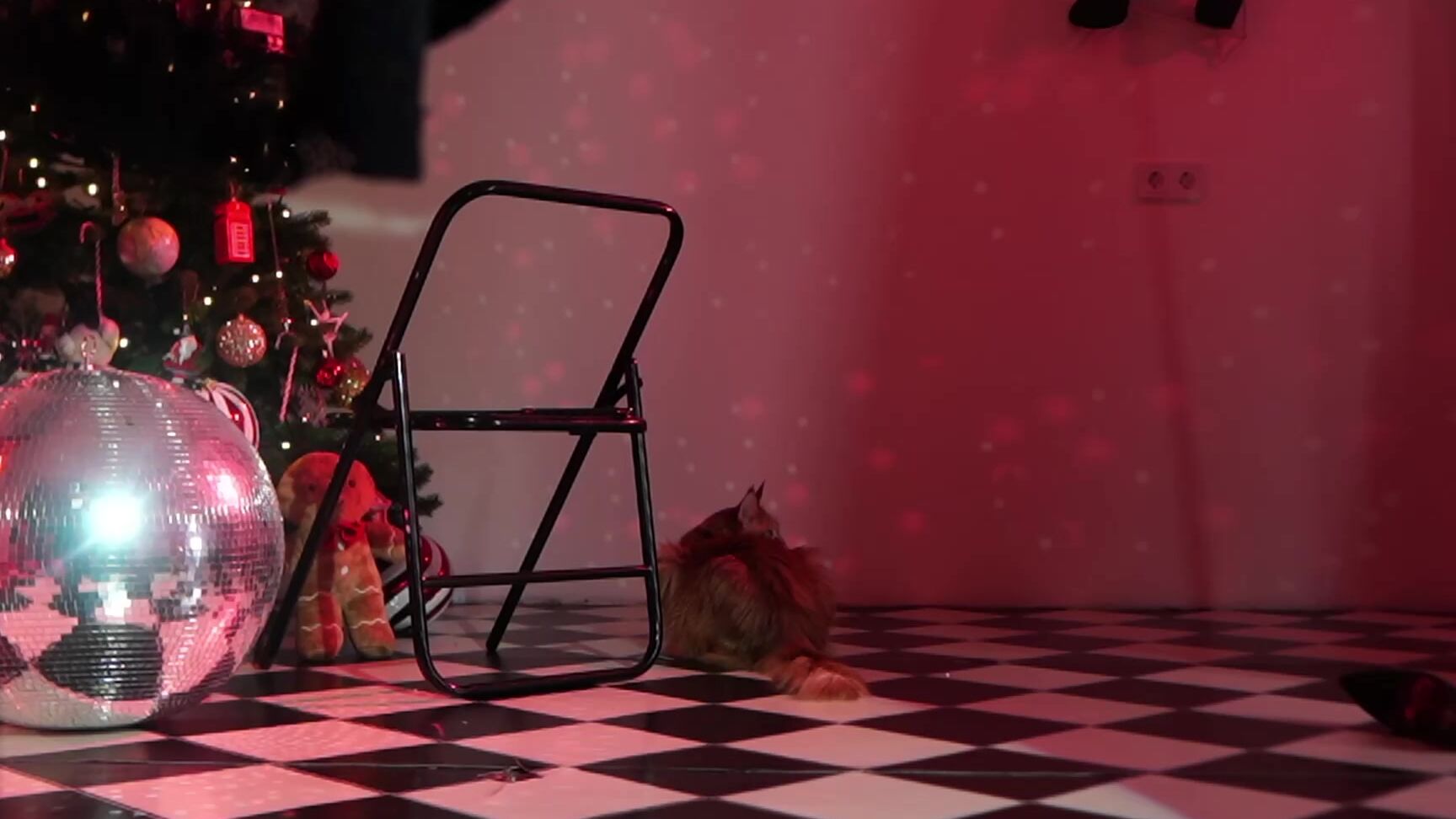 meganmeow  2024-12-18 01-50 CHATURBATE