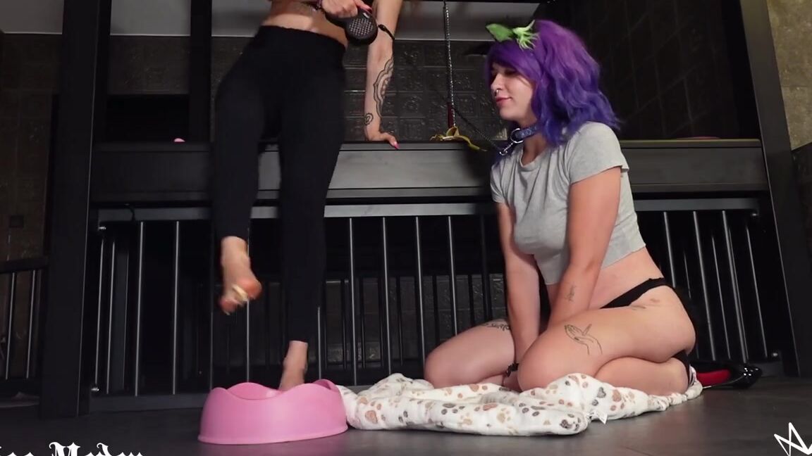 miss medea mortelle feeding my puppy girl_w Clips4Sale