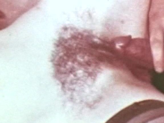 "Vanessa Del Rio, Dave Ruby, Ron Jeremy…" All Sex, Compilation Anal Housewives Alpha Blue Archives