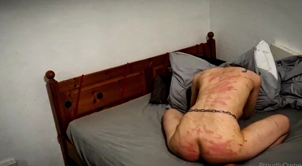 Boundbyflames Master Reacquainting His Animal With The Black Rubber Whip S Bite