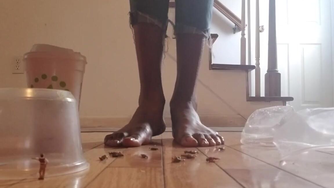 Chocolate Foot Goddess Nicknamed Cfootgoddessx Foot Fetish 12 05 2019 Onlyfans Video Giantess Beanstalk Sfx