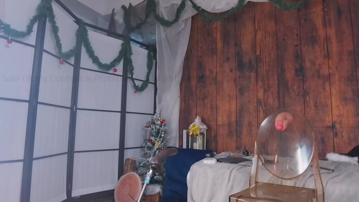 mollyflwers 2024-12-17 15-41-13 595 web cam