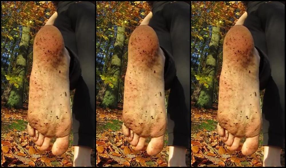 Neolasoles Nicknamed Neolasoles Onlyfans Where My Foot Cleaners At P For A Clean Feet Vid Check Out The One Under