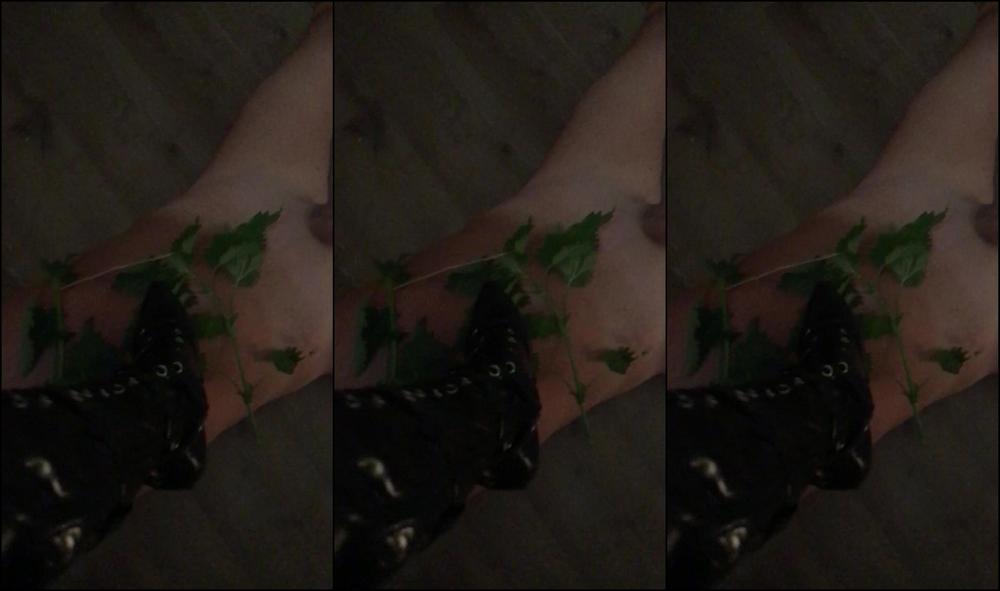 Lady Dark Angel Nettle Play Love It X