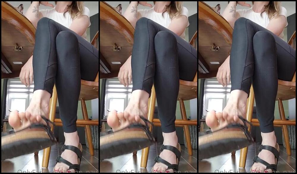 Sloans Paws Nicknamed Sloan Paws 07 08 2023 Onlyfans Video Tap Tap Tap