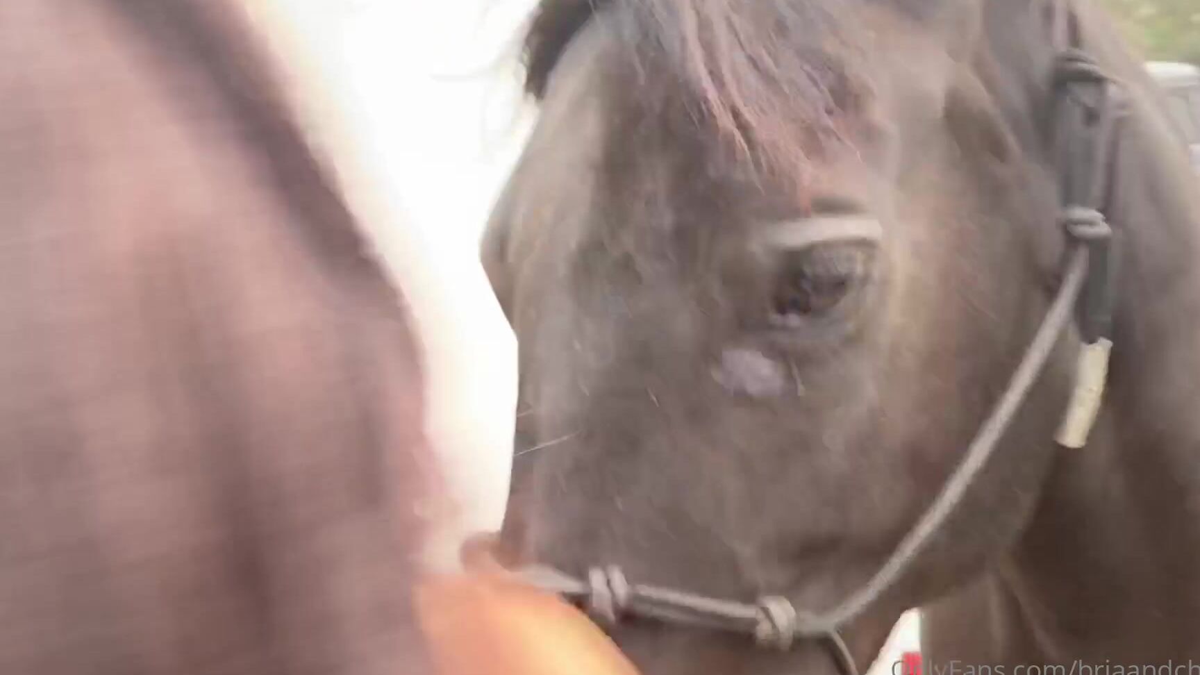 Briaandchrissy Vlogs Are Back We Are Back At It