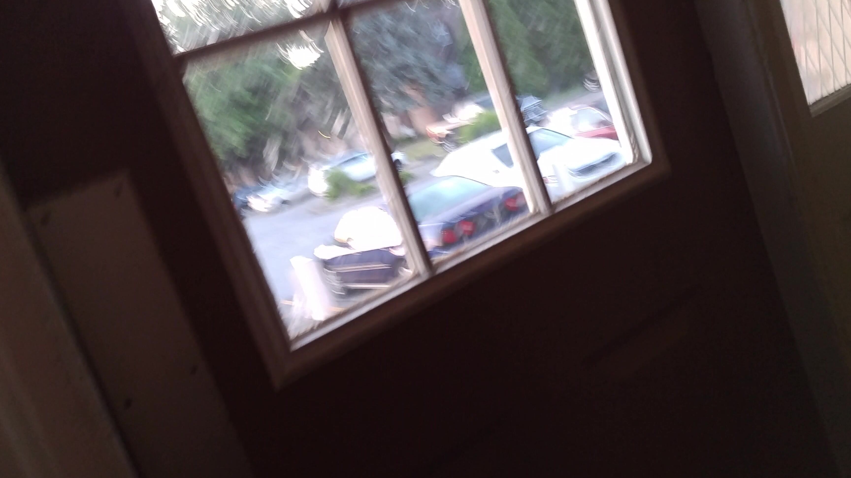 Candiecane Stop Peeing Outside In The Grass