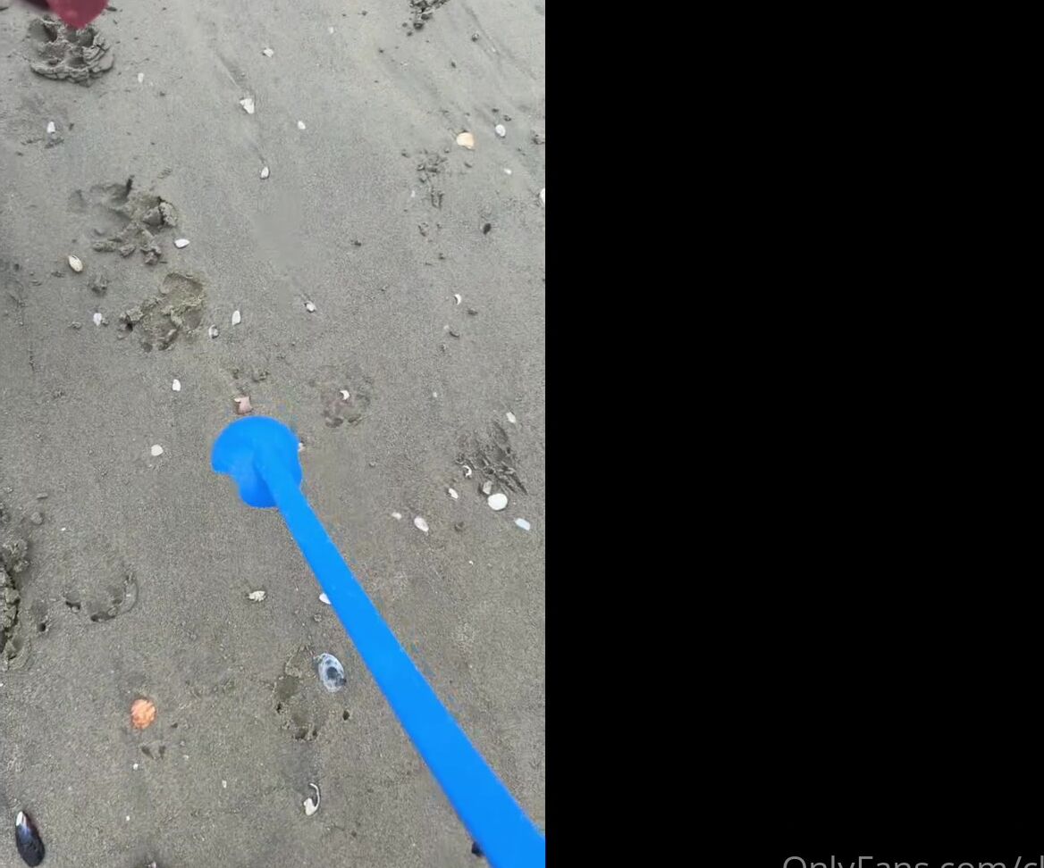 Clca69 3411545000 08 06 2024 Now In La I Found Out Dog Beaches Are Illegal In La So The Nearest