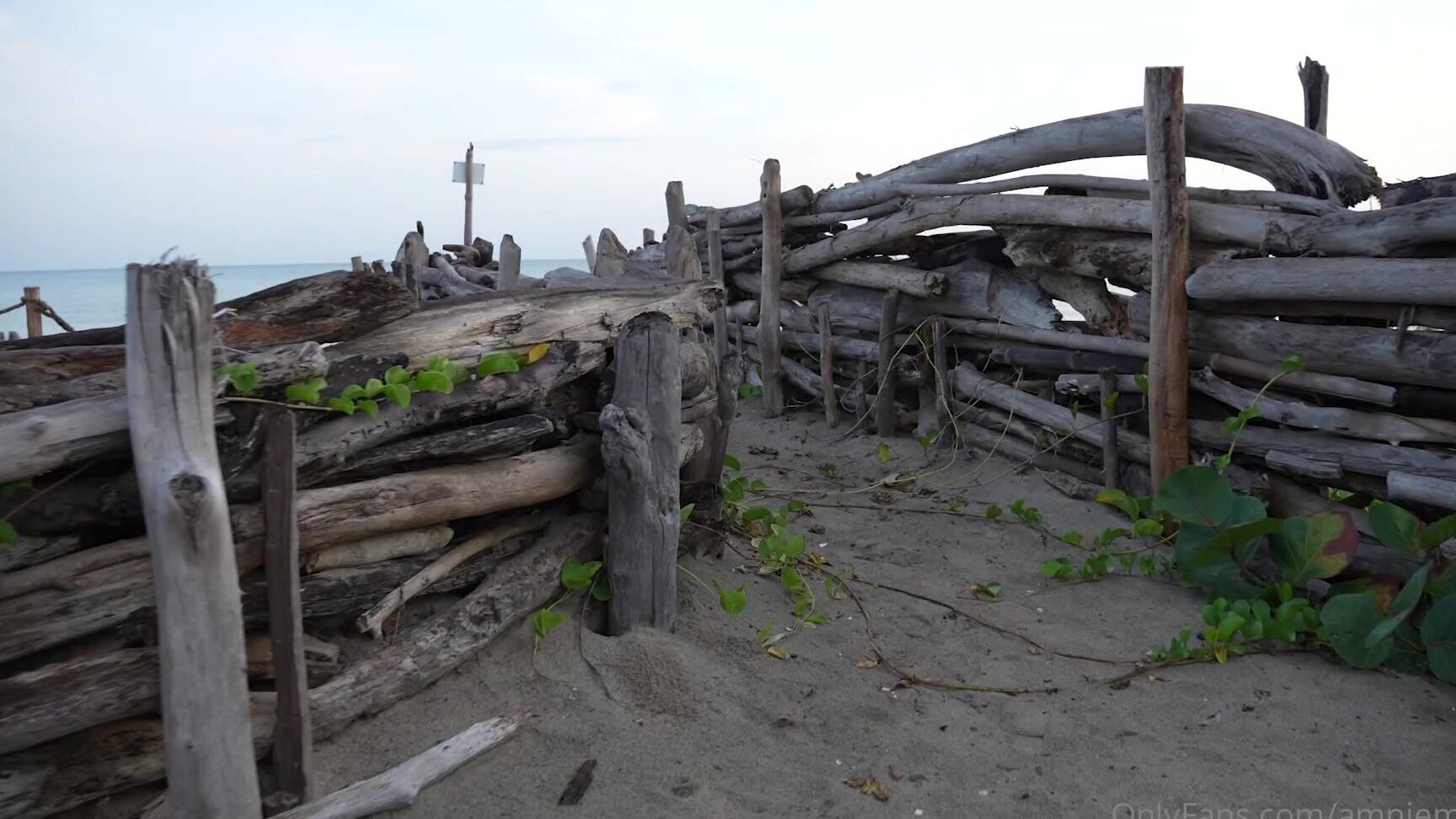 Amnie Art Who Wants To Make Mischief With Me On The Beach The Adrenaline Of Not Being Seen Make Me