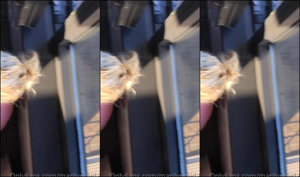 Marilynmidas Mr D And I Spent All Day Bumming Around Sf Smoking At G Gate Park Soaking Up The Sun I