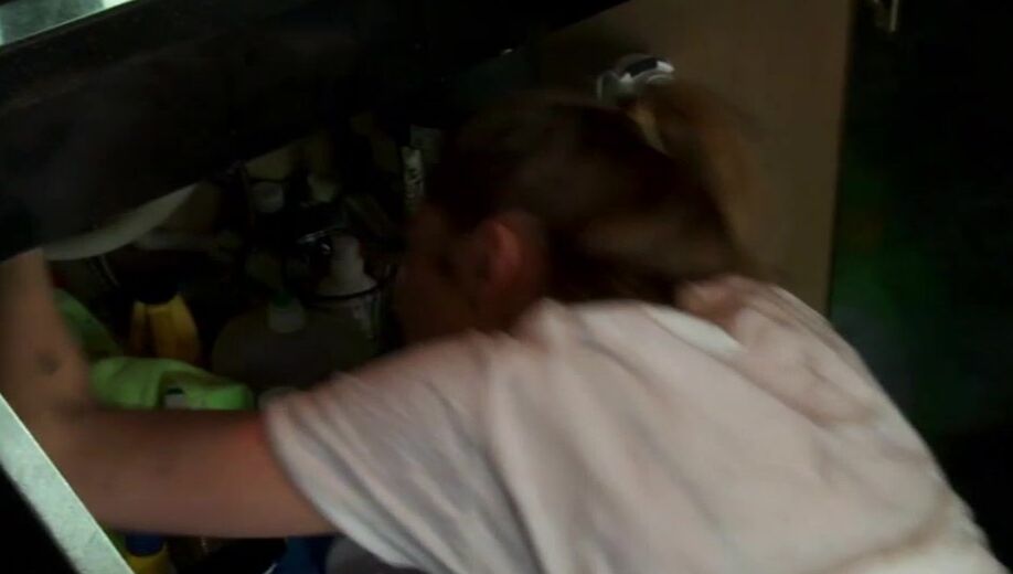 "Alektra Blue, Xander Corvus, Gracie Glaw, Barrett Blade, Jessie Andrews, Brandon Fox, Rocco Reed, Brandy Aniston, Nicole Aniston, Richie Calhoun." Adult, Oral, All Sex Job Swap Wicked Pictures