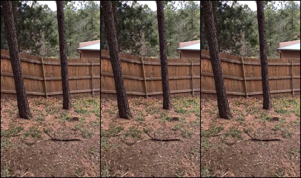 Big Pussies, Blow Jobs, Blowjob, Swallowing / Drooling, Tattoos princesspineapple69 outdoor vacation fck ManyVids