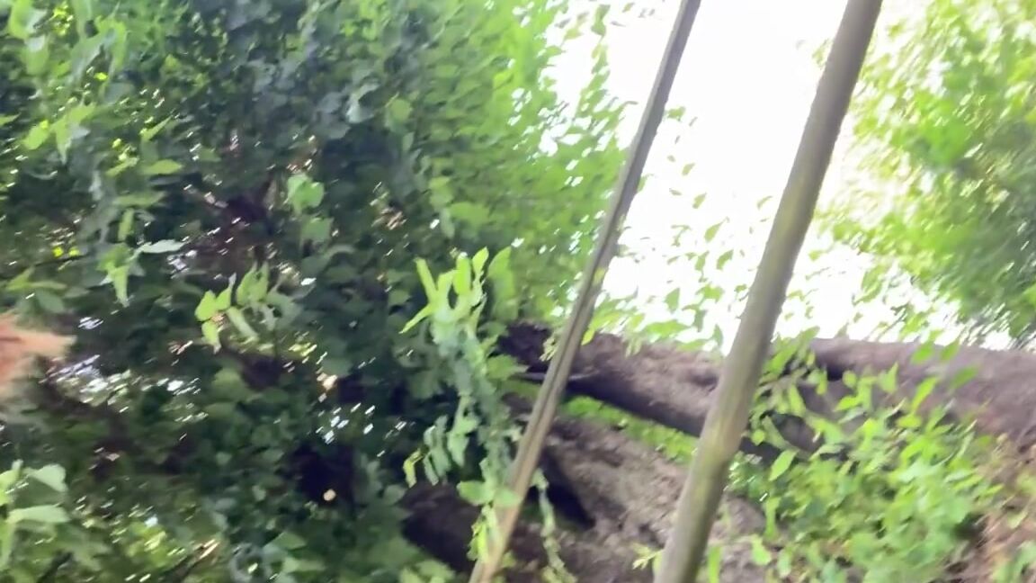 Madeleine Nicknamed Goddessgigantic Onlyfans Shrinking You Down To Where You Belong