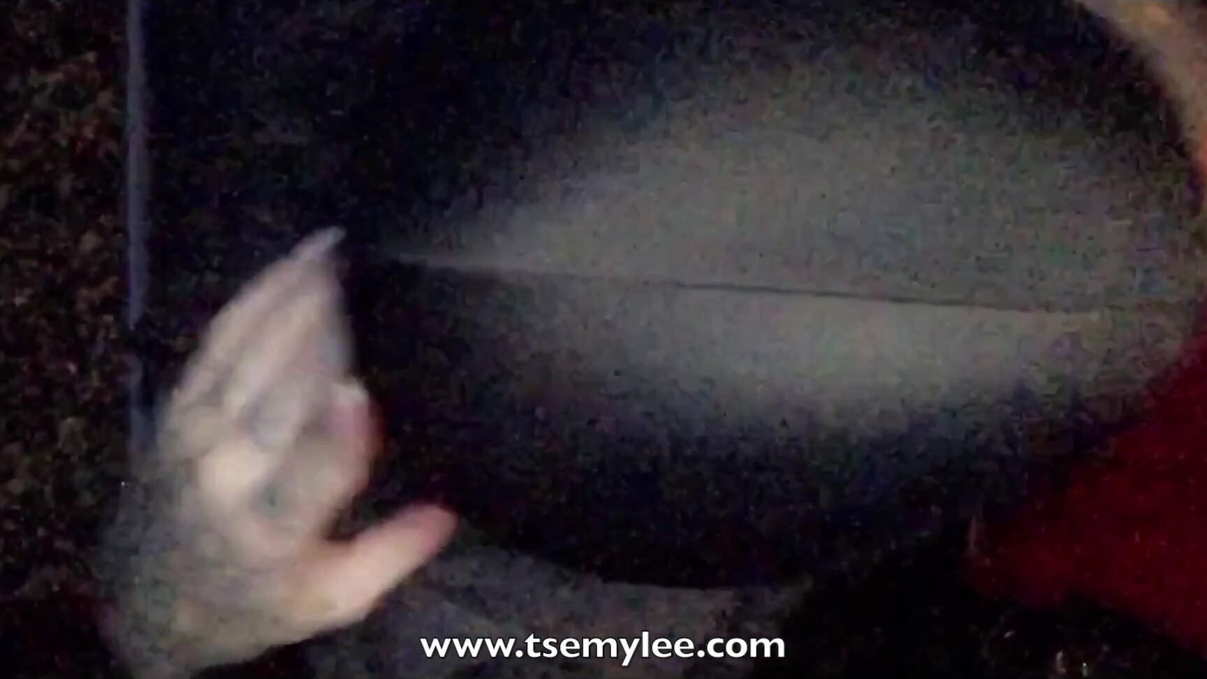 tsemylee69-17-04-2018-8765192-1-road-head-on-the-way-to-church-swallow