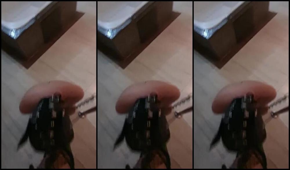 Domme Ju Leah Nicknamed Mistressjuleah 02 11 2025 Onlyfans Video Ohhh Meu Petplay Hahahhapetplay Bdsm