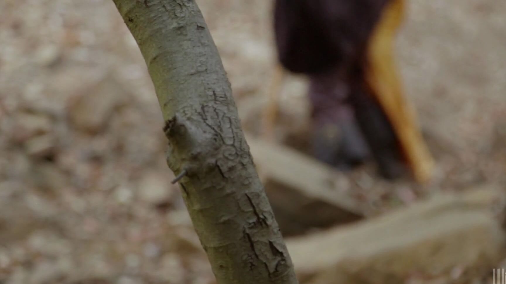 "Jessica Drake, Riley Steele, Ash Hollywood, Katie St. Ives, Alec Knight, Barrett Blade, Eric Masterson, Michael Vegas, Ryan Driller" Spoofs, Feature, Cosplay Snow White XXX An Axel Braun Parody Wicked Pictures