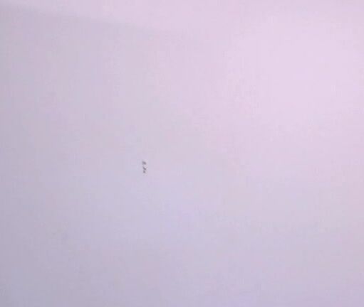 slddsusanne01 Clips4Sale