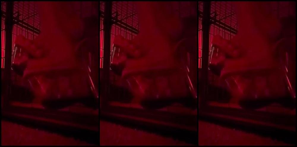 Diosa Divana Nicknamed Goddessdivana 05 29 2025 Onlyfans Video Adiestramiento De Perro Viud