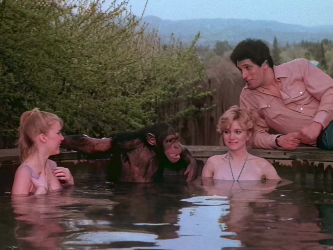 "Shauna Grant, Jade O'Riley, Janey Robbins, Leather Tracey, Lili Marlene, Susan Wilde, Paul Thomas, Billy Dee, Hershel Savage, Jamie Gillis, Peter Brent" Feature, All Sex, Incest Virginia Young Passions Caballero Control Corporation (CCC)