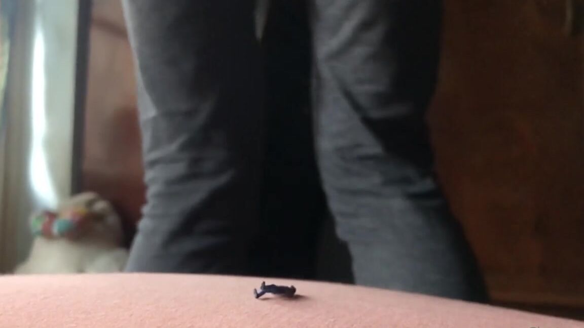 Giantess Elixs Nicknamed Giantesselixs 03 25 2022 Onlyfans Video I Wasnt Aware Of Him