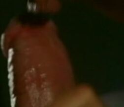 "Silvia Saint, Christina Dark, Wanda Curtis, Melody Kord, Vanda Vitus, Bettina, Eva Roberts, Isabella, Caroline Cage, Nicole Thomson, Christine, Julia Taylor, Cristina, Andrew Youngman, Nick Lang, John Walton, Attila Schuszter, Frank Major, James Bro