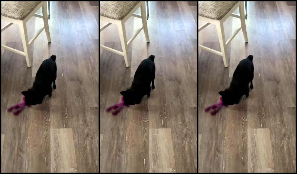 Fitnaughtycouple Nicknamed Fitnaughtycouple 04 27 2025 Onlyfans Video Stream Started At 04272025 0305 Pm Fitbottomdaddy