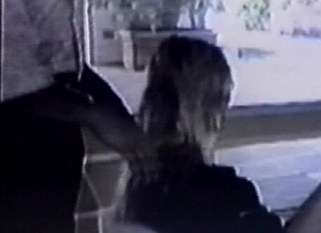 "Peter North, Ashlyn Gere, Madison, Rocco Siffredi, Randy West, Raven, Nikki Wilde, Sebastian" Feature Total Reball Coast To Coast