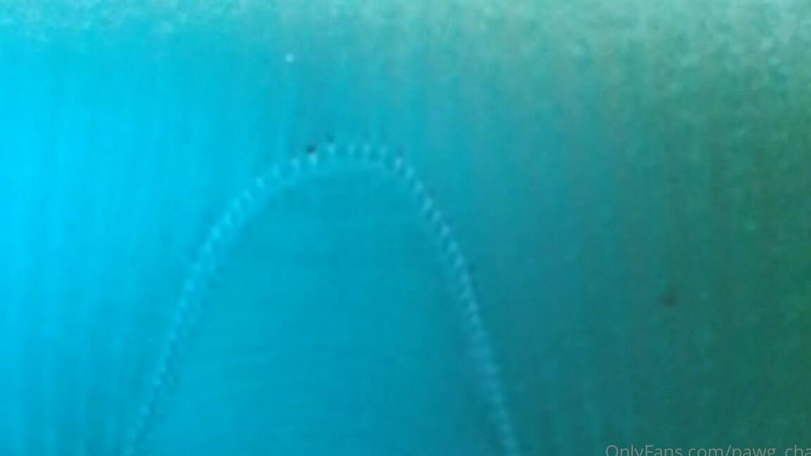 Pawg Champ Nicknamed Pawg Champ 06 01 2023 Onlyfans Video Let Me Smother You With This Big Juicy Ass Face Sitting Video Dont Forget To L