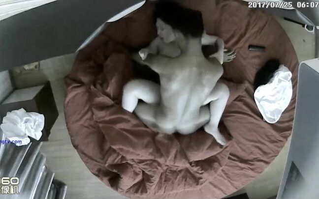 Asian Hacked Ipcam Ipc 02157