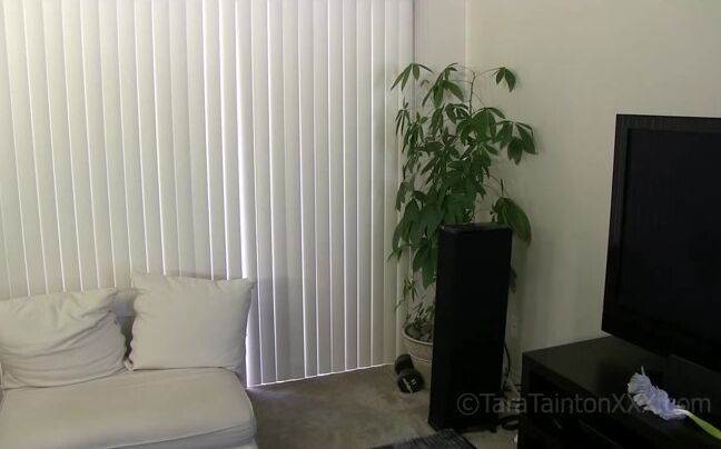 "Tara Tainton" cockworship, milf, mommyroleplay, taboo, virtualsex My Overdeveloped Stepson 1 manyvids