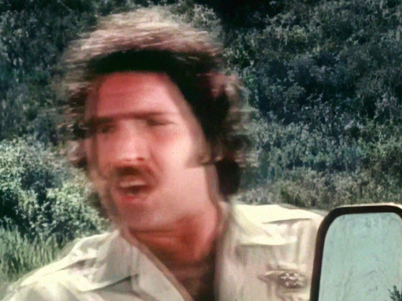 "Debi Diamond, Honey Wilder, Susanna Britton, Jacqueline Lorians, Monique Fabrage, Laurien Wilde, Brooke Fields, Paula Angelisis" Feature, Classic Bad Girls 2 VCX / Collector's Video