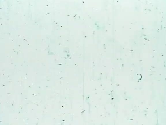 "Ambrosia Fox (as Lori Ambrosia), Cheri Champagne (as Sherri Champagne), Niko, Sharon Mitchell, Stella Steves (nonsex), Velvet Summers, David Christopher, George Payne, Jamie St. James, Ron Hudd, Tony Mansfield (as Toni Mansfield)" All Sex, Classic T