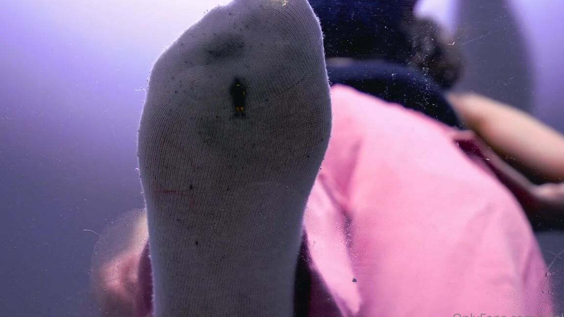 Giantess Ella Nicknamed Giantessella 01 20 2022 Onlyfans Video Videoname Sock Crush Cum Countdown Re Edit