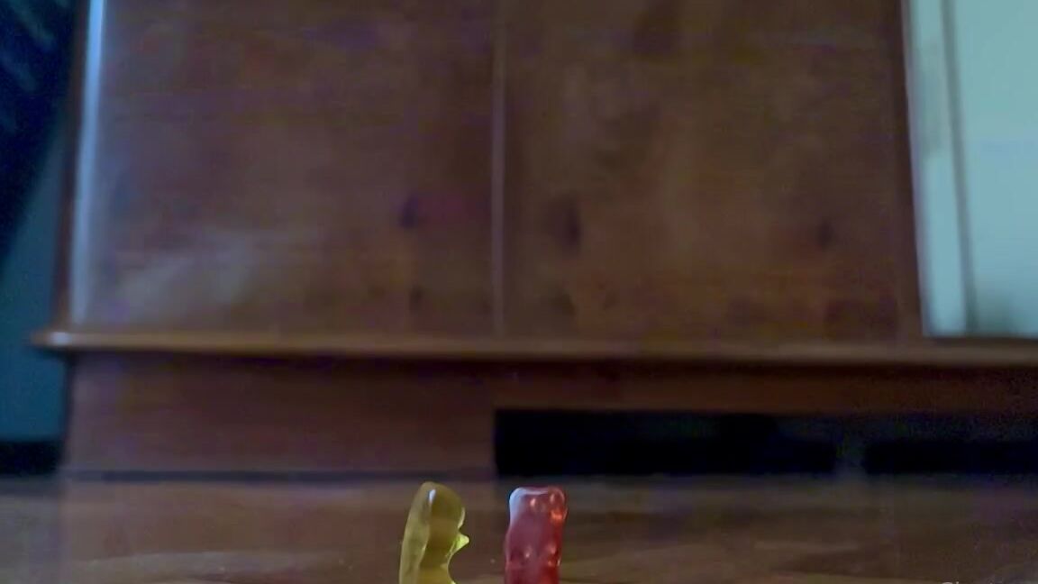 Giantess Elixs Nicknamed Giantesselixs 11 30 2022 Onlyfans Video I Shrank My Two Male Friends And Turned Them Into Gummy Bears They Are Now So