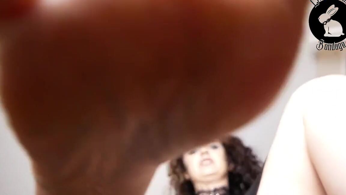 Bunny Sdungeon Nicknamed Vipbunnyb 04 02 2024 Onlyfans Video Some Feet For You