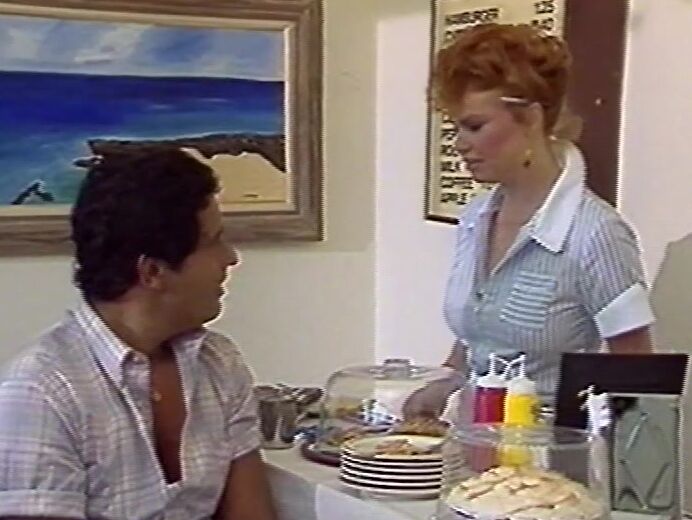 "Gina Carrera, Tamara Longley, Sheri St. Clair, Nina Hartley, Rachel Ryan, Melissa Melendez, Lisa Melendez, Joey Silvera, Herschel Savage" Classic, Feature, Facial, Anal Sexavision Dreamland Entertainment