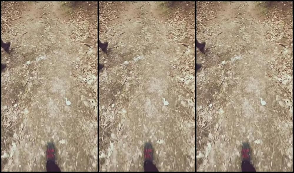 Goddess Elza Nicknamed Goddesselza 03 30 2023 Onlyfans Video Chod Piesku Idziemy Na Spacer